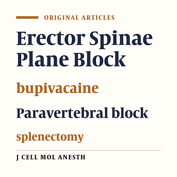 Ultrasound-Guided Erector Spinae Plane Block Versus Paravertebral Block for Perioperative Analgesia in Patients Undergoing Open Splenectomy: A Randomized Controlled Trial
