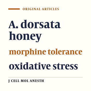 Potential Neuroprotective Effect of Apis dorsata Honey Against Morphine Tolerance: An in-vivo Study