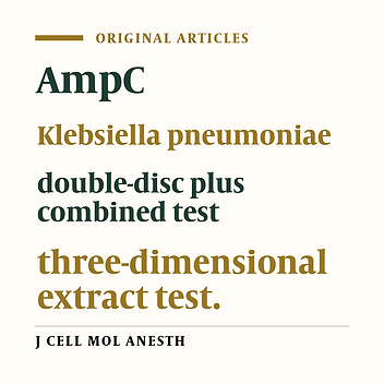Molecular Epidemiology of AmpC-Producing Klebsiella Pneumoniae Isolated from Perioperative Patients in a Tertiary Hospital