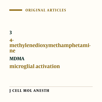 MDMA-Induced BV2 Microglial Cell Activation in Vitro