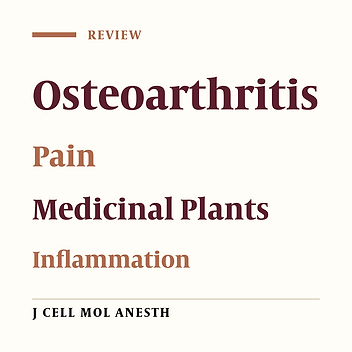 Potential Role of Herbal Medicine in Alleviating Pain and Inflammation in Osteoarthritis: a Review