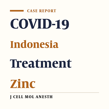 COVID-19 Treatment in Medan, Indonesia: A Case Report