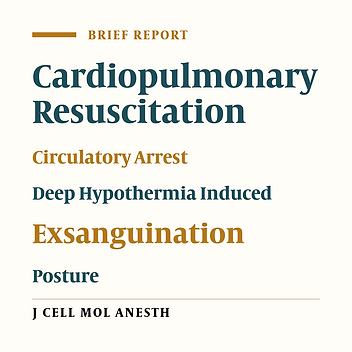 Full Recovery after Cardiopulmonary Resuscitation in Lateral Position Necessitated by Hemorrhagic Shock