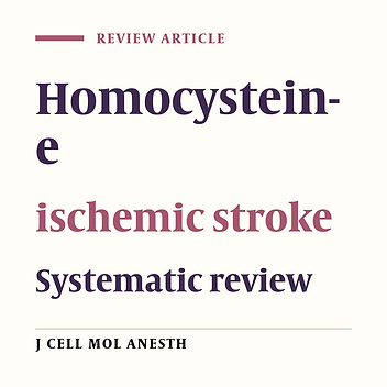Homocysteine Levels and Ischemic Stroke: A Systematic Review