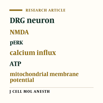 The Optimum Concentration of N-Methyl D-Aspartate to Induce Dorsal Root Ganglion Neuron Activation through the N-Methyl D-Aspartate Receptor Pathway: Creating a Neuron Model For the in-vitro Study of Pain