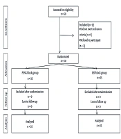 A Comparative Analysis of Ultrasound-Guided Erector Spinae Plane Block Versus Combined Ultrasound-Guided Pericapsular Nerve Group (PENG) and Lateral Femoral Nerve Block Following Total Hip Arthroplasty: A Randomized Double-Blind Controlled Clinical Trial