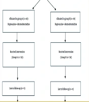 Comparison of Bupivacaine-Dexmedetomidine and Bupivacaine-Dexamethasone in PENG Block for Post-operative Analgesia in Hip Surgeries