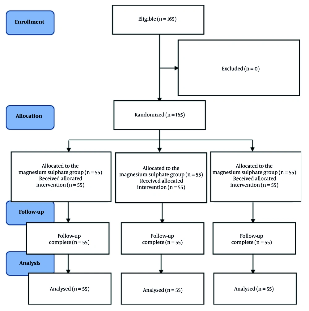 CONSORT flow diagram for the study CONSORT flow diagram for the study