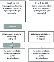 Ultrasonographic Assessment of Preoperative Metoclopramide on Gastric Volume in Diabetic Patients: A Prospective Controlled Study