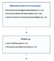 Effect of Oral Collagen and Bromelain Supplementation on Pressure Ulcer Healing in Intensive Care Unit Patients: A Randomized Controlled Trial