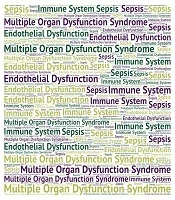 Cover image of the article: Role of Immune-Endothelial Cell Crosstalk in the Pathogenesis of Multiple Organ Dysfunction Syndrome (MODS): From Molecular Mechanisms to Therapeutic Targets