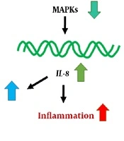 Cover image of the article: Evaluation of miR-155 Expression in Cystic Fibrosis Patients
