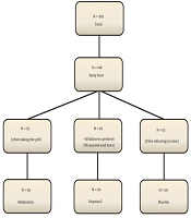 Effect of Metformin or Vitamin E on Ultrasonographic Grade and Biochemical Findings of Children and Adolescents with Nonalcoholic Fatty Liver Disease: A Randomized Clinical Trial