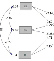 Social Anxiety in Students with Specific Learning Disorders Based on Emotion Regulation and Emotional Intelligence: The Mediating Role of Perceived Self-Efficacy