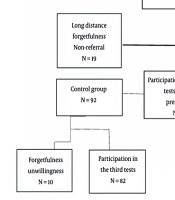 Assessing the Adjunctive Role of Probiotic Supplementation in Children with ADHD: Findings from a Randomized, Double-Blind Controlled Trial