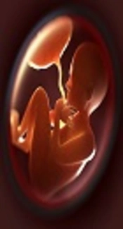 The Relationship between Maternal and Neonatal Umbilical Cord Blood Lead Levels and their Correlation with Neonatal Anthropometric Indices