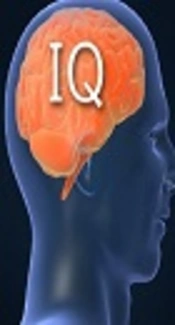 The Effect of Iron Deficiency on Intelligence Quotient in Eight- to Eleven-Year-Old Students of Zanjan, Iran