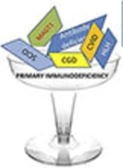 Registry of Clinical Data and Laboratory Findings in 80 Patients with Primary Immunodeficiencies in Mofid Children Hospital