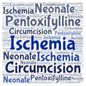 Cover image of the article: Glans Ischemia Treatment with Pentoxifylline Following Circumcision in a Neonate