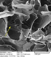 Fabrication of Graphene Oxide Aerogel to Repair Neural Tissue