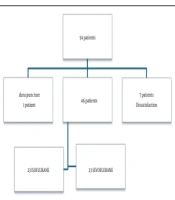 Maintenance of Anesthesia in Paranasal Endoscopic Sinus Surgery: Sevoflurane or Isoflurane? Which One Is Better?