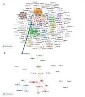 Co-authorship Network Analysis of Medical Images Researchers with Emphasis on Micro and Macro Metrics
