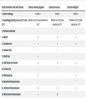 Evaluation of prf A Gene in Listeria monocytogenes Isolated from Dairy