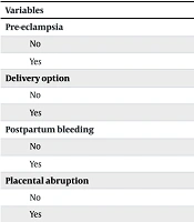 Comparative Study of Pregnancy Outcomes Before and During the COVID-19 Pandemic
