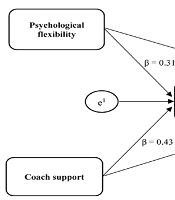 The Links Between Psychological Flexibility, Coach Support, and Athlete Burnout: Sports Self-efficacy as a Mediator