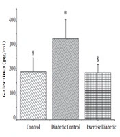 The Effect of High Intensity Aerobic Exercise on Levels of Galectin-3 and Protein Kinase C in Diabetic Male Rats
