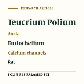 The effect of calcium blocker activity on vasorelaxant of Teucriumpolium extract on rat isolated aorta