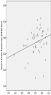 Correlation Between SLR and Active Knee Extension Tests in LBP Patients with Tightened Hamstring