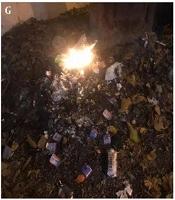 Discard Plastic Burning: A Serious Risk Factor in Dehradun, India
