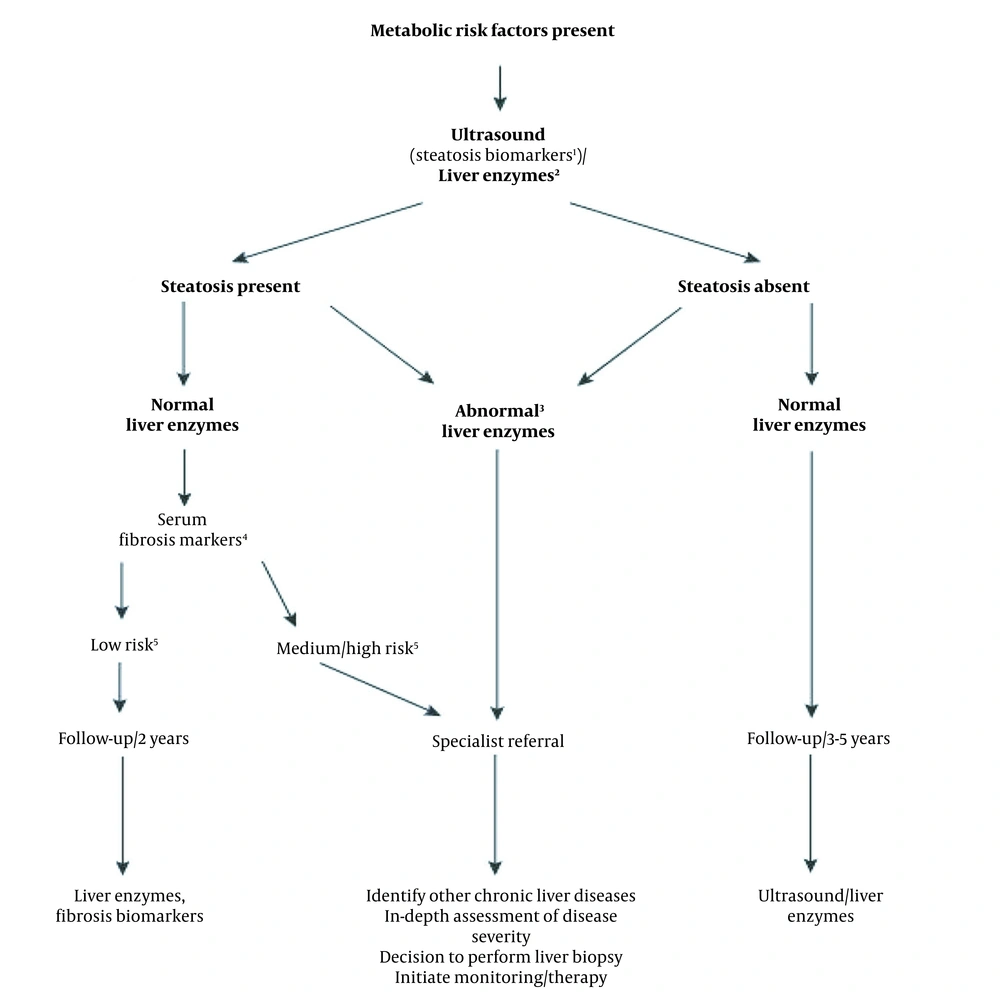 Diagnostic flow-chart for evaluating and monitoring the disease severity in the presence of suspected NAFLD and cardio-metabolic factors. (1) Steatosis biomarkers: Fatty Liver Index, Steato Test, NAFLD fat score; (2) Liver tests: ALT, AST or GGT; (3) Any increase in ALT, AST, or GGT; (4) Serum fibrosis markers: NAFLD Fibrosis Score, FIB-4, Commercial tests (e.g., FibroTest, FibroMeter, or ELF scores); (5) Low risk: Showing no/mild fibrosis; medium/high risk indicates significant fibrosis or cirrhosis. Diagnostic flow-chart for evaluating and monitoring the disease severity in the presence of suspected NAFLD and cardio-metabolic factors. (1) Steatosis biomarkers: Fatty Liver Index, Steato Test, NAFLD fat score; (2) Liver tests: ALT, AST or GGT; (3) Any increase in ALT, AST, or GGT; (4) Serum fibrosis markers: NAFLD Fibrosis Score, FIB-4, Commercial tests (e.g., FibroTest, FibroMeter, or ELF scores); (5) Low risk: Showing no/mild fibrosis; medium/high risk indicates significant fibrosis or cirrhosis.