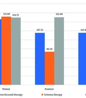 Compassion-Focused Therapy Versus Schema Therapy: A Comparative Analysis of Their Impact on Relationship Beliefs in Women Seeking Divorce