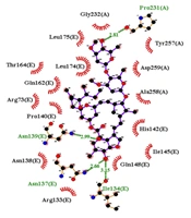 In Silico Analysis of Ivermectin Interaction with NF-κB, MAPK10, and MAPK14 Inflammatory Agents as a Candidate for Treatment of COVID-19 Disease