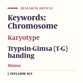 The rapid method of preparing mouse karyotype and mouse chromosomes identified by Gimsa staining and Trypsin-Gimsa banding