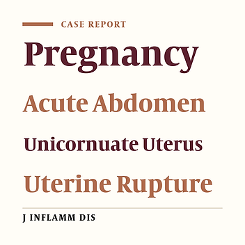 Rudimentary hemiuterus rupture in a 14-weeks pregnancy