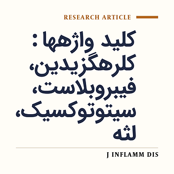 Cytotoxic effects of chlorhexidine on L929 mouse fibroblasts