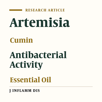 Antibacterial activity of essential oils from Artemisia and Cumin plants against Staphylococcus aureus, Escherichia coli and Vibrio cholerae