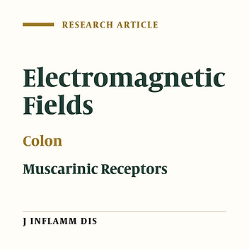 Effects of long term exposure to low frequency electromagnetic fields on the cholinergic system in rat colon