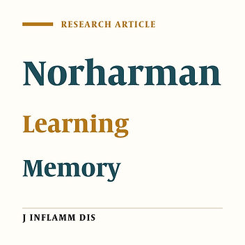 Effects of chronic administration of norharman on spatial learning and memory in female rats