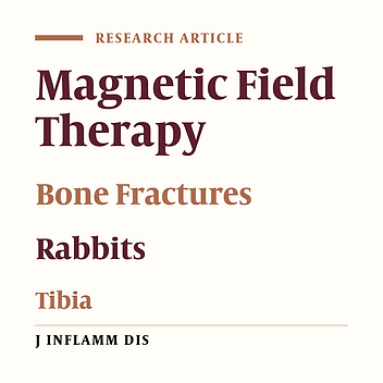 Effects of pulsed magnetic field on healing of tibial bone lesion in rabbits