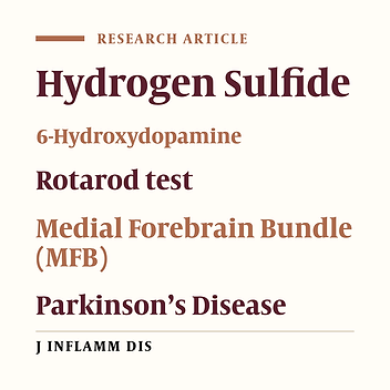 The Effects of Sodium Hydrosulfide on Motor Learning in a Rat Model of Parkinson’s Disease