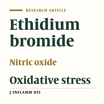 The Effect of NO System on Ethidium Bromide-Induced Oxidative Stress in the Hippocampal Formation of Male Rats