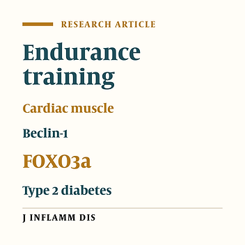 The Effect of an 8-Week Endurance Training Program on the Content of FOXO3a and Beclin-1 Proteins in Heart Muscle of Rats With Type 2 Diabetes