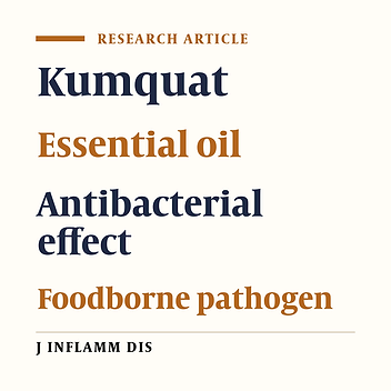 Antibacterial Effects of Kumquat Peel Essential Oil on Staphylococcus Aureus and Escherichia Coli Bacteria in Comparison With Some Standard Antibiotics