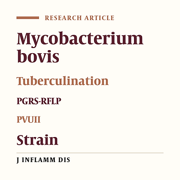 Isolation, Molecular Identification and Genomic Pattern of Mycobacterium Bovis Isolates Collected from Tuberculin-positive Cattle in Infected Farms of Shiraz, Iran