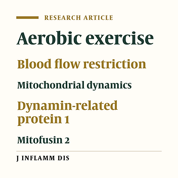 Effect of Aerobic Exercise With Blood Flow Restriction on Mitochondrial Dynamics Proteins of Human Skeletal Muscles