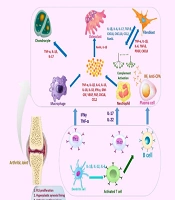 Nanotechnology for Targeted Rheumatoid Arthritis Therapy: Innovations and Challenges